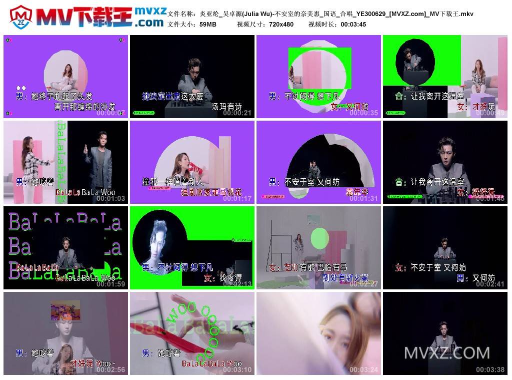 炎亚纶_吴卓源(Julia Wu)-不安室的奈美惠_国语_合唱_YE300629